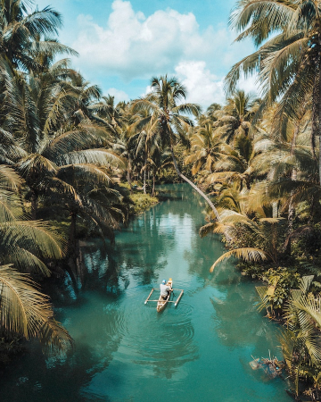 фотография реки среди пальм photo of a river among palm trees